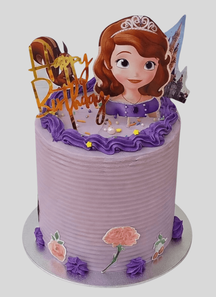 Shapely Sofia The First Cake