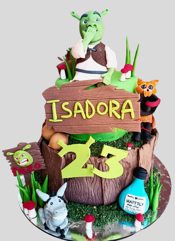 Exquisite Shrek Cake