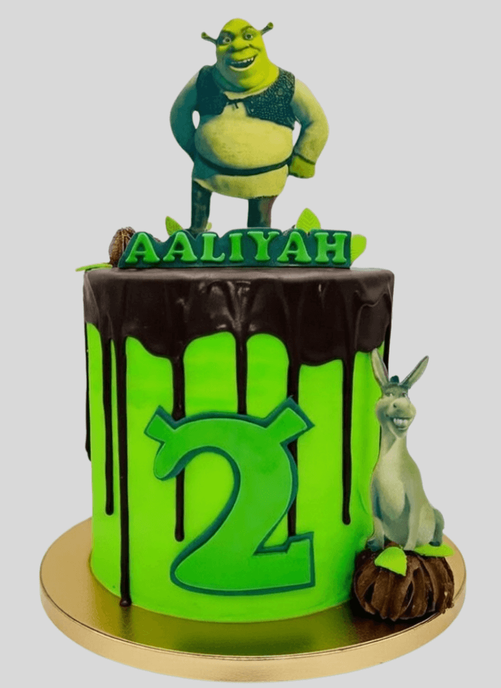 Fair Shrek Cake