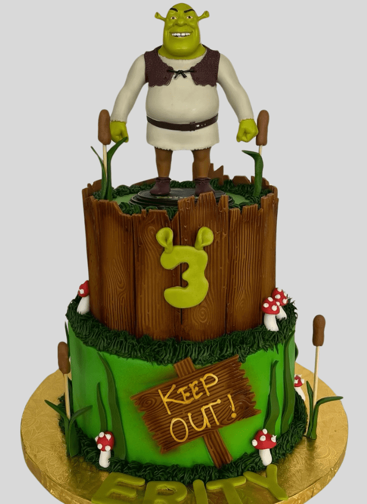 Magnetic Shrek Cake