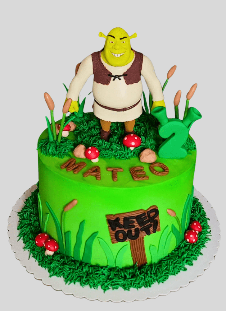Magnificent Shrek Cake