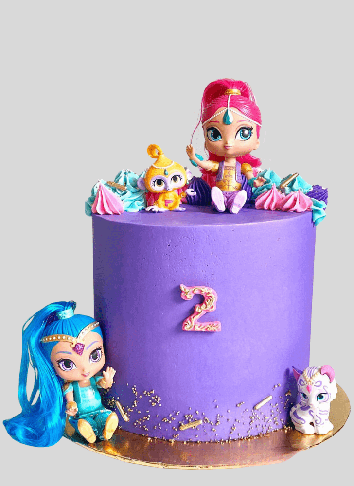 Bewitching Shimmer and Shine Cake