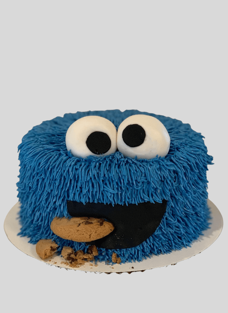 Exquisite Furry Monster Cake