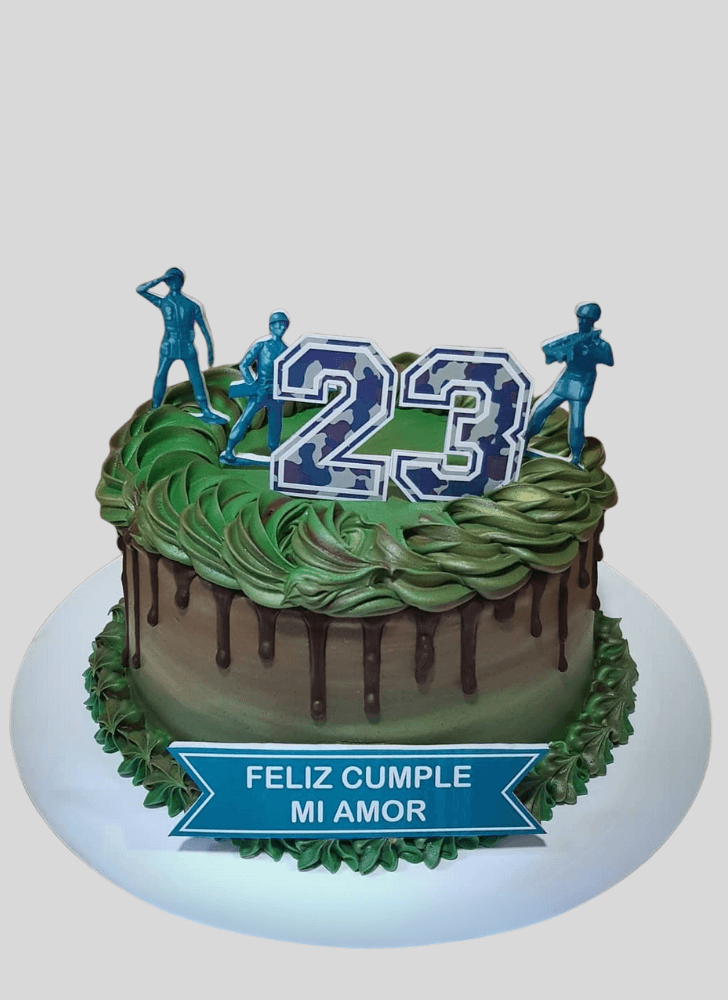 Fascinating Army Cake