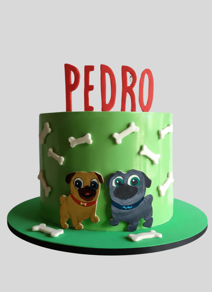 Classy Puppy Dog Pals Cake
