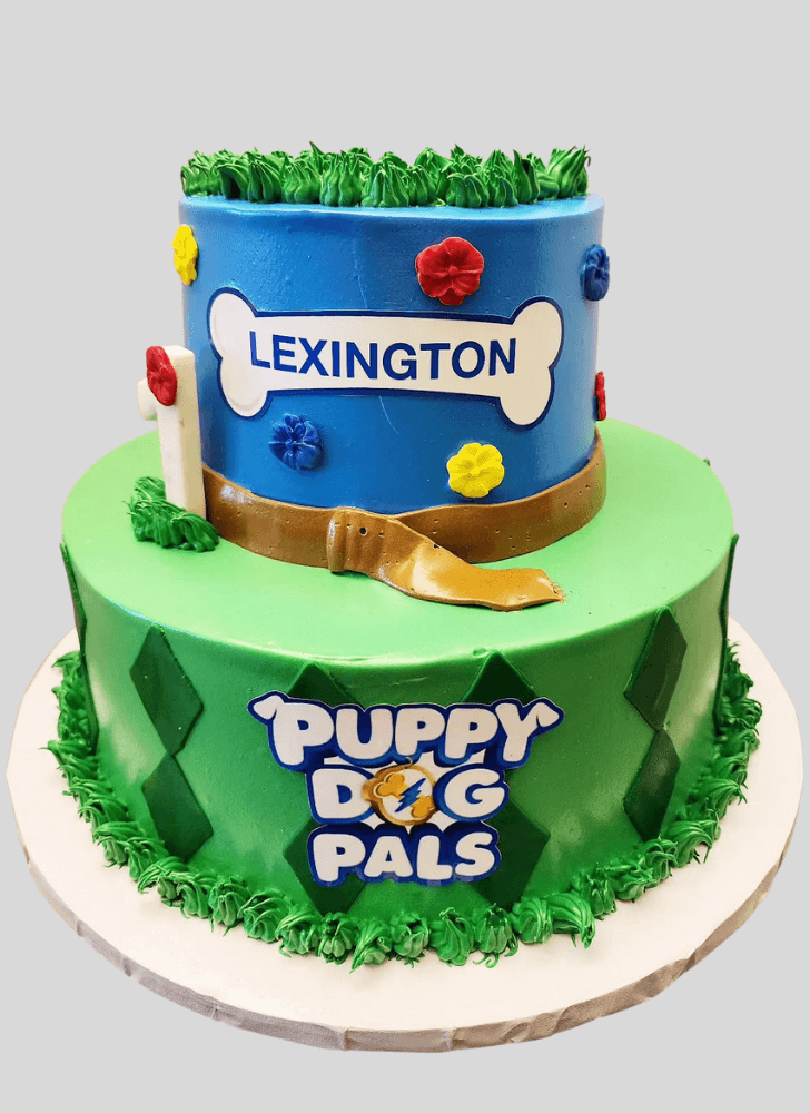 Fair Puppy Dog Pals Cake
