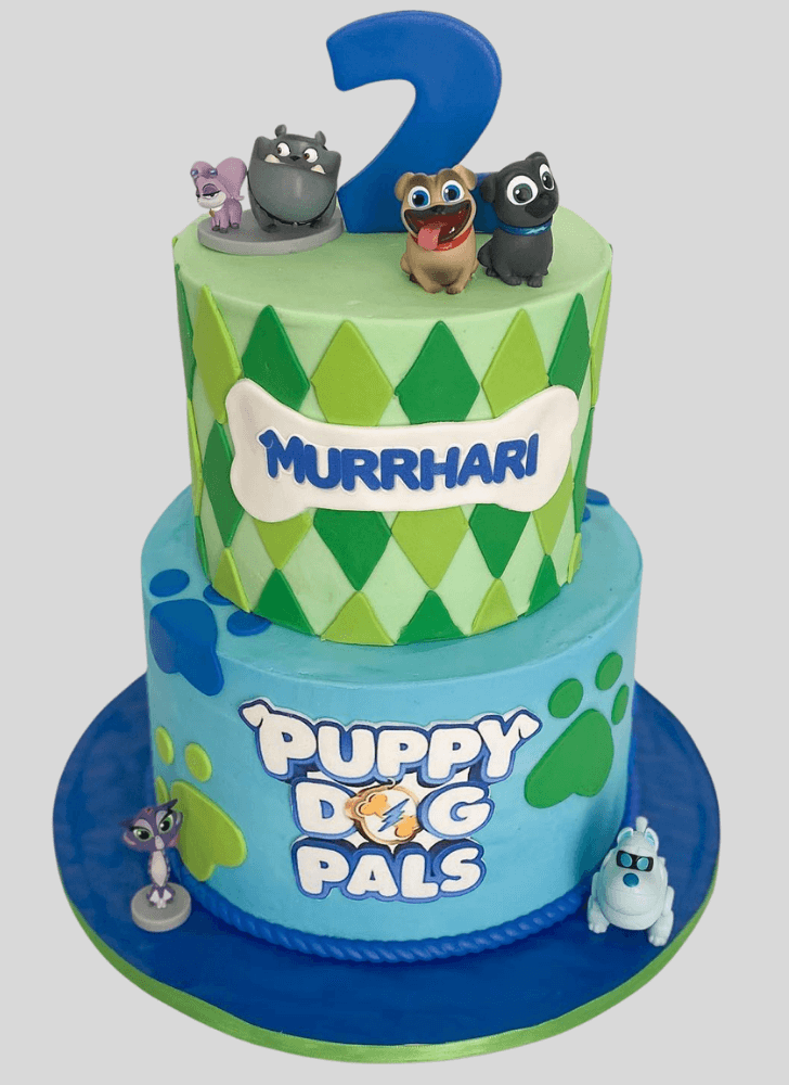 Fine Puppy Dog Pals Cake