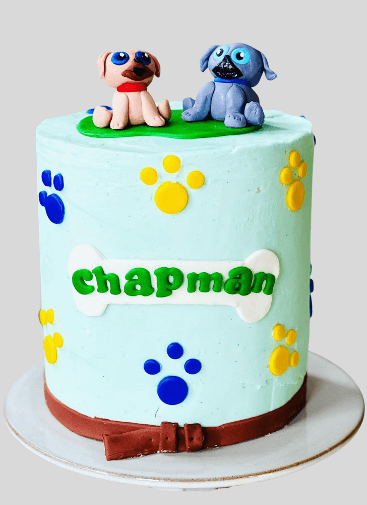 Handsome Puppy Dog Pals Cake
