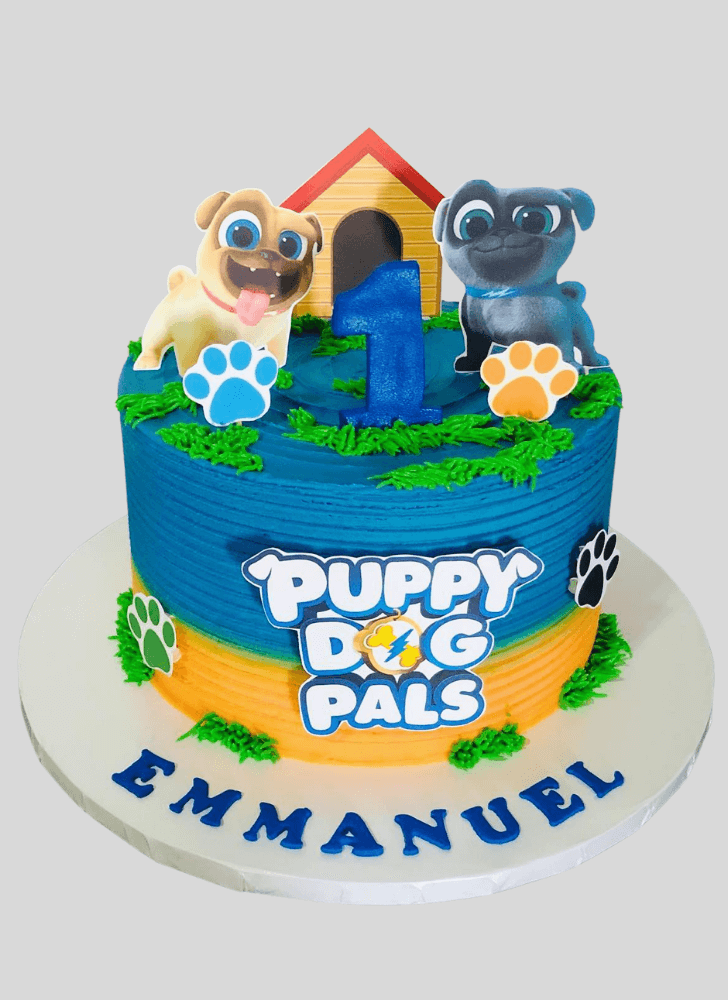 Magnetic Puppy Dog Pals Cake