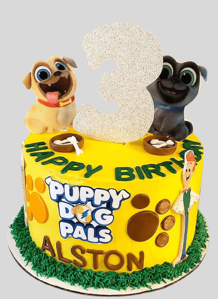 Mesmeric Puppy Dog Pals Cake