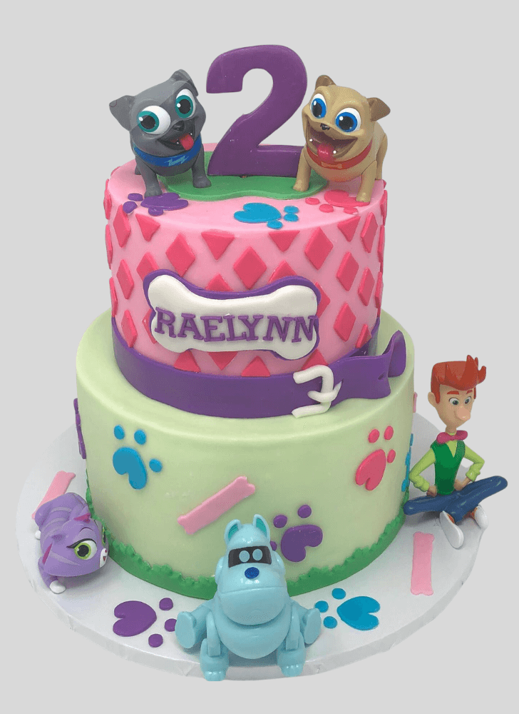Nice Puppy Dog Pals Cake