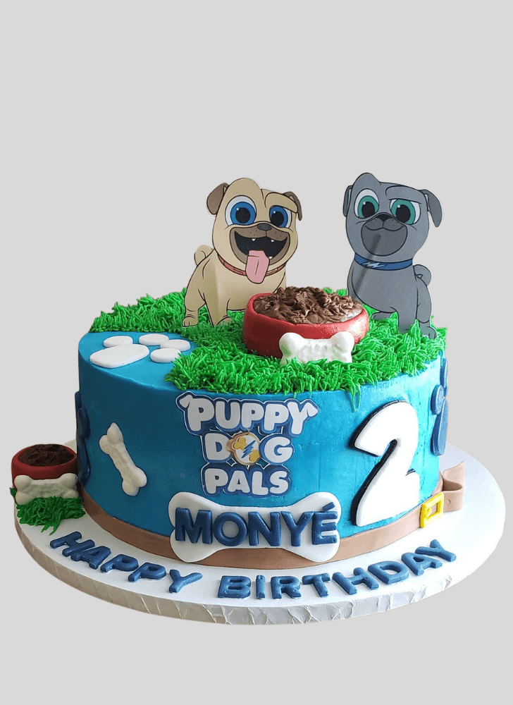 Splendid Puppy Dog Pals Cake
