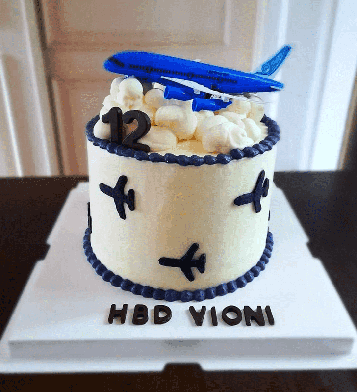 Appealing Airplane Cake