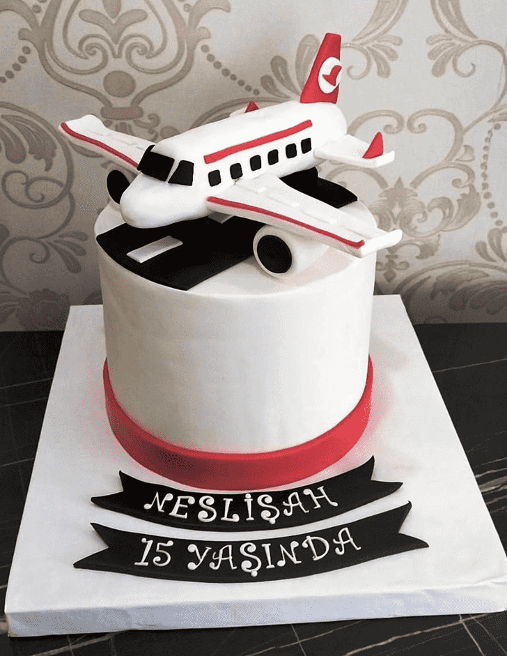 Bewitching Airplane Cake