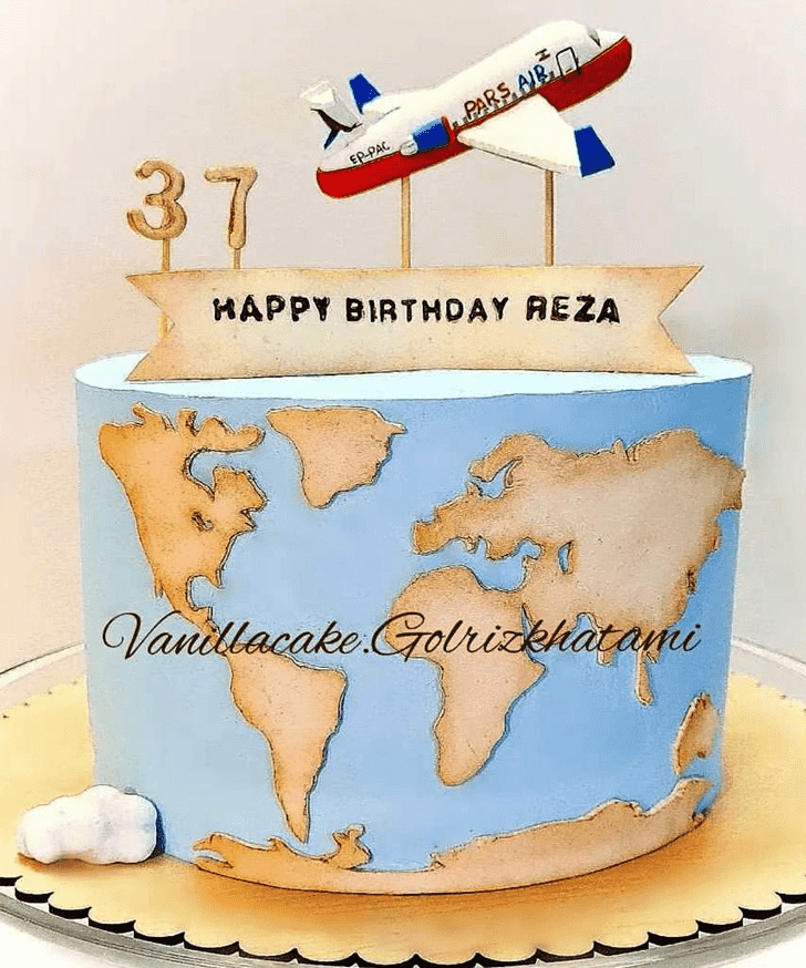Classy Airplane Cake