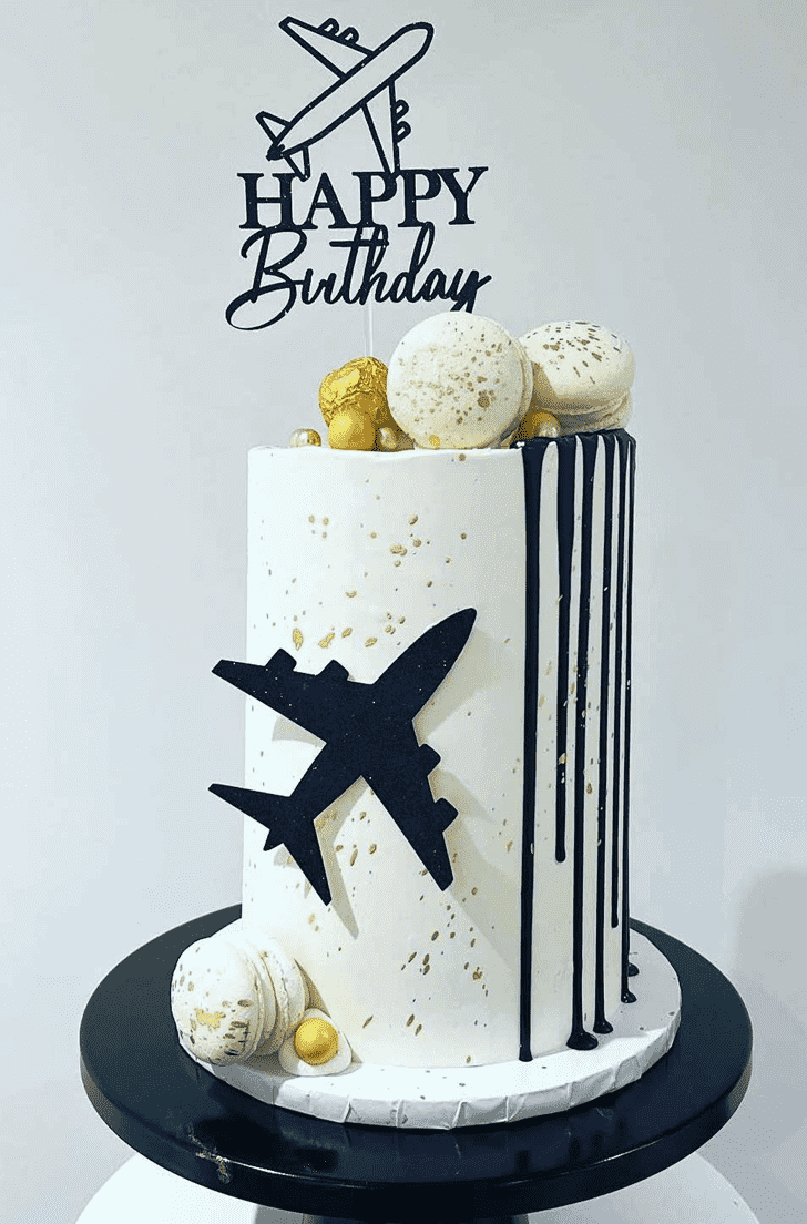 Delicate Airplane Cake