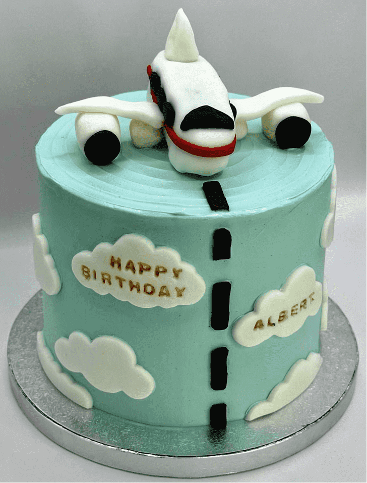 Elegant Airplane Cake