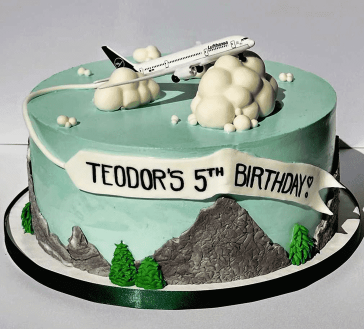 Excellent Airplane Cake