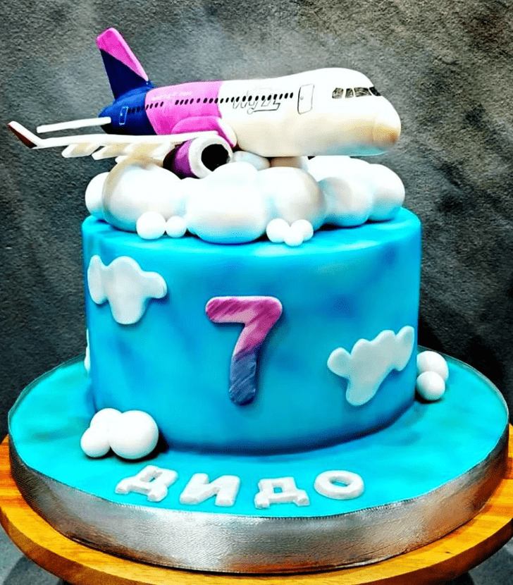 Exquisite Airplane Cake
