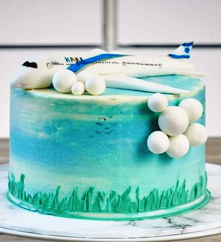 Fascinating Airplane Cake