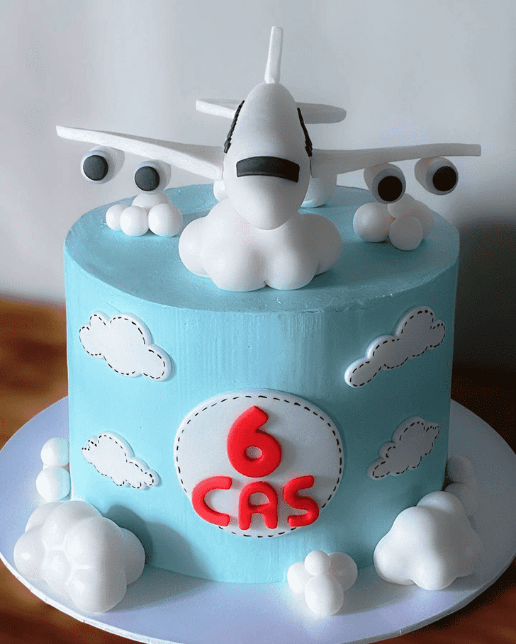 Gorgeous Airplane Cake