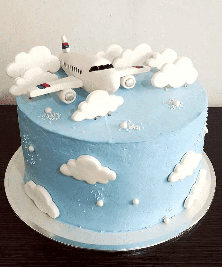 Graceful Airplane Cake