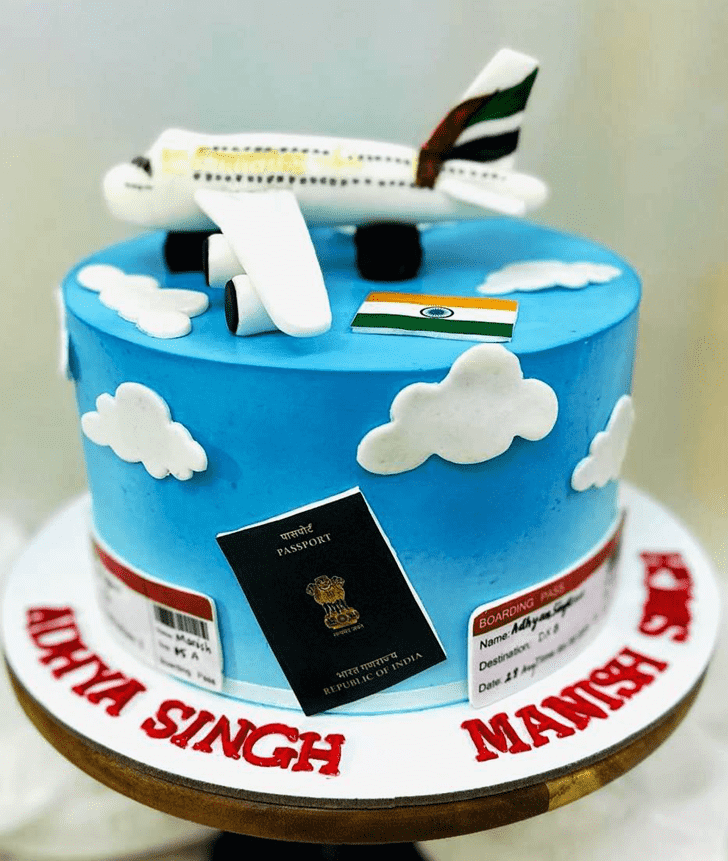 Lovely Airplane Cake Design