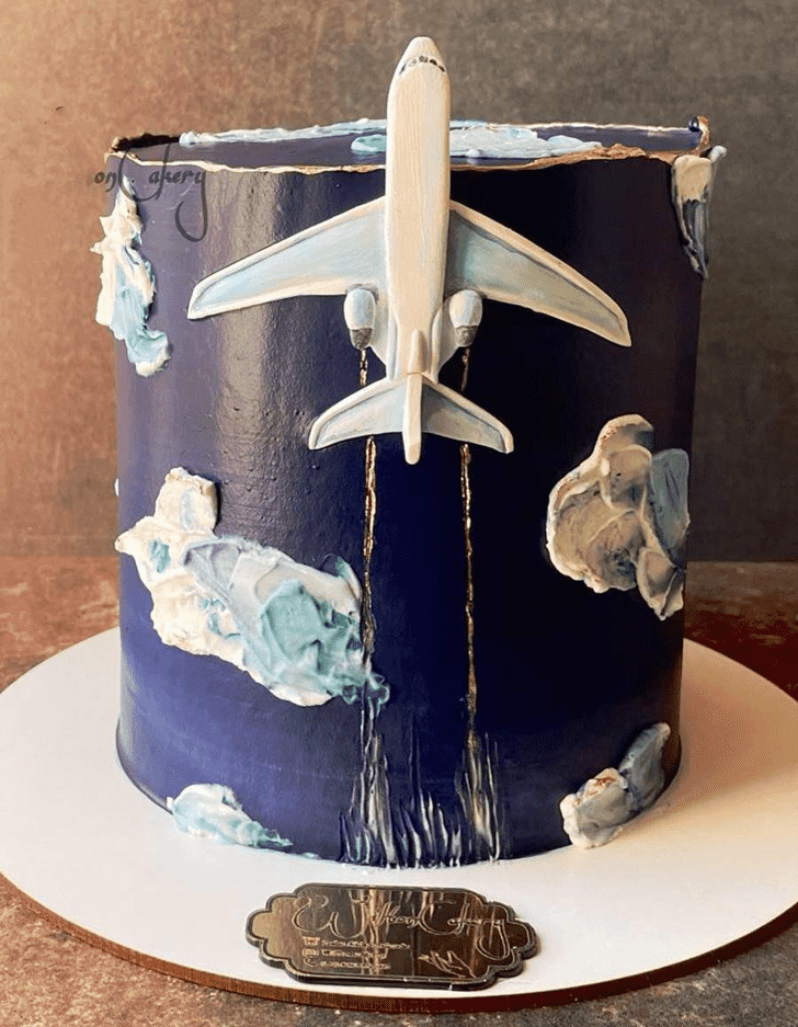 Pleasing Airplane Cake