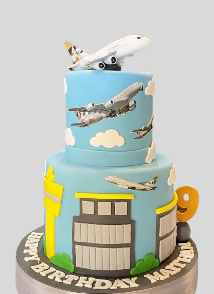 Bewitching Airplane Cake
