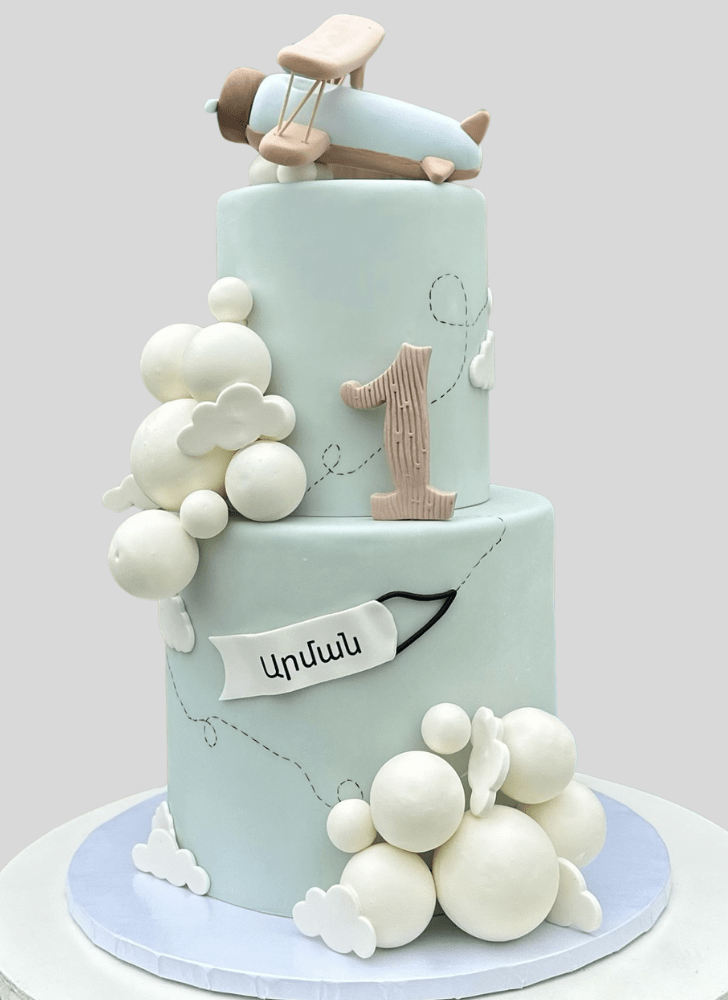 Fair Airplane Cake