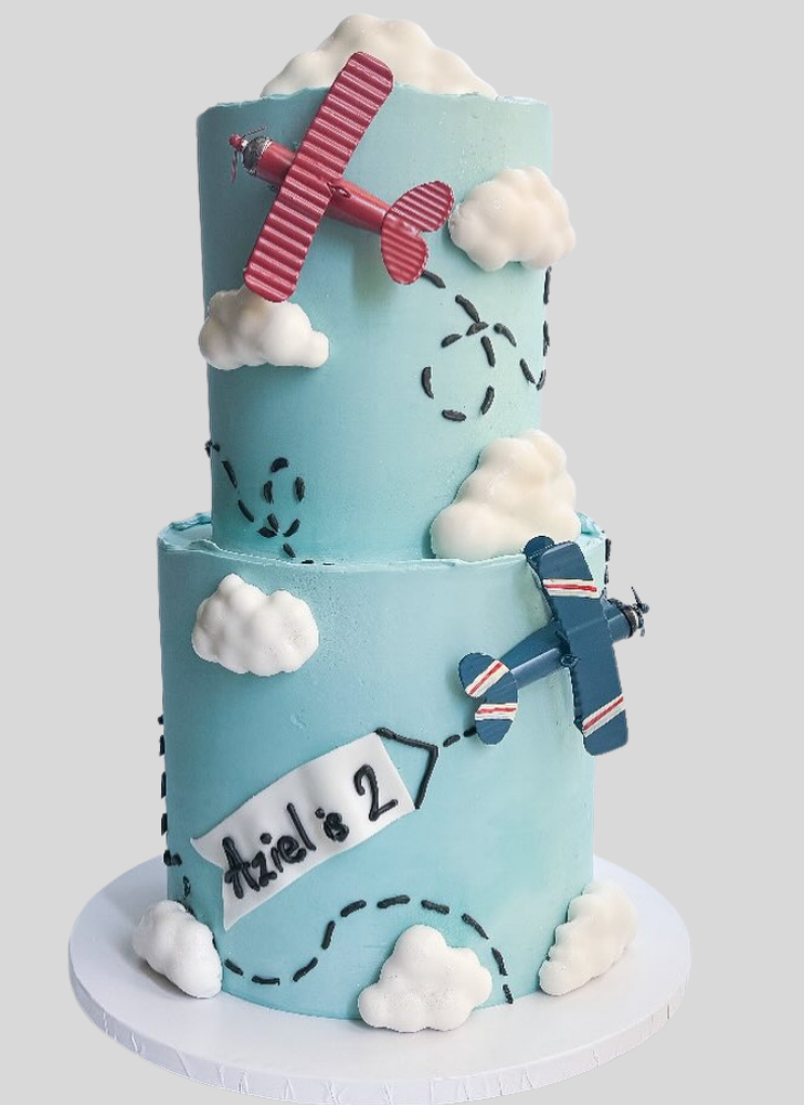 Good Looking Airplane Cake