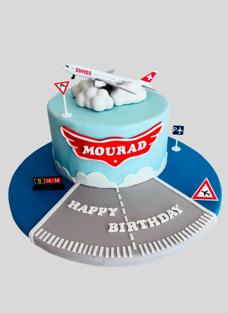 Graceful Airplane Cake