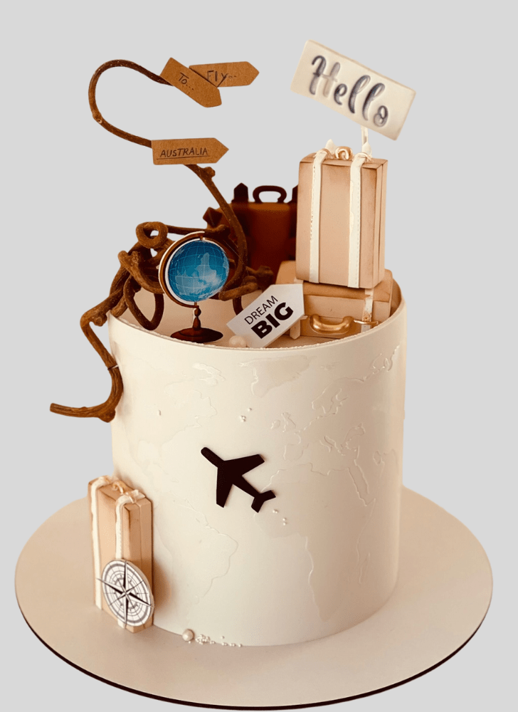 Marvelous Airplane Cake