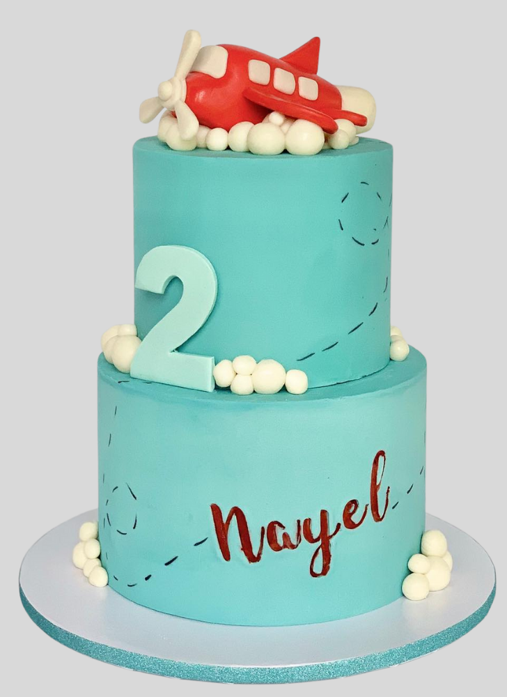 Stunning Airplane Cake