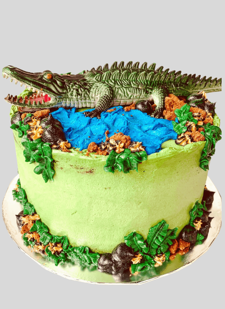 Comely Alligator Cake