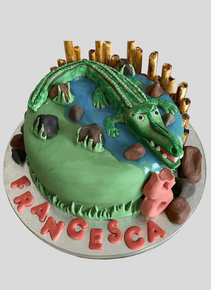 Fair Alligator Cake