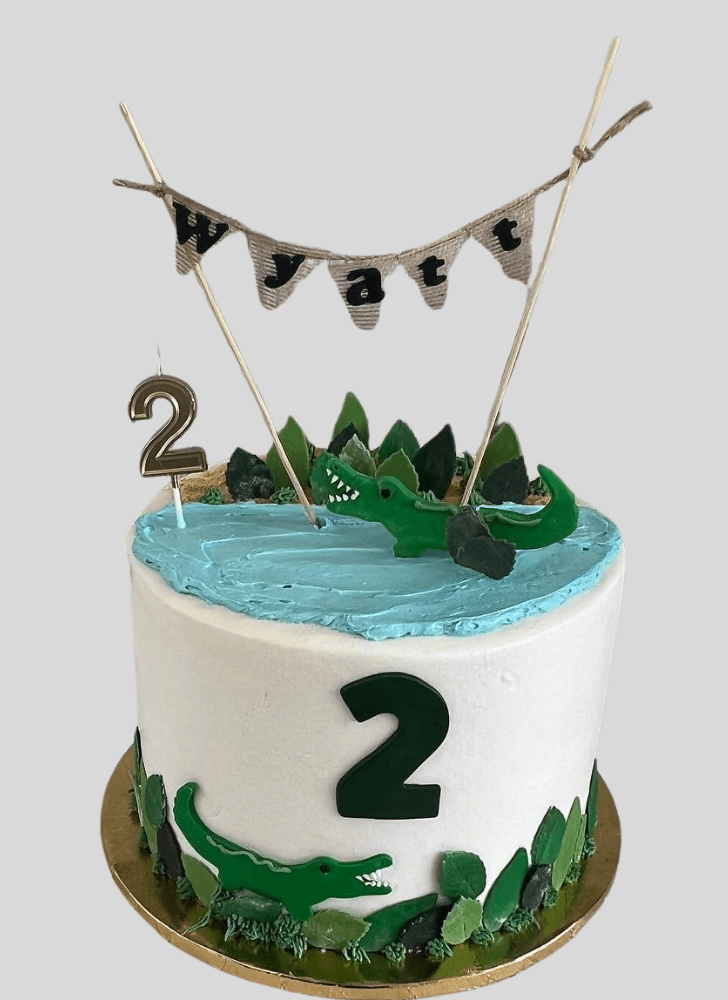 Handsome Alligator Cake