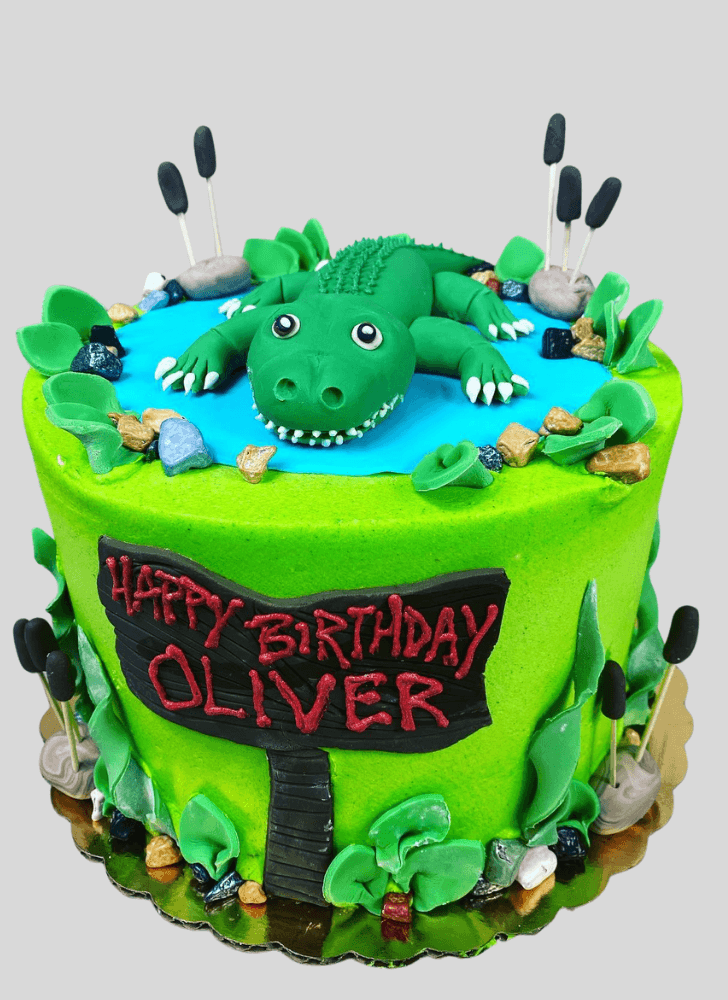 Magnetic Alligator Cake