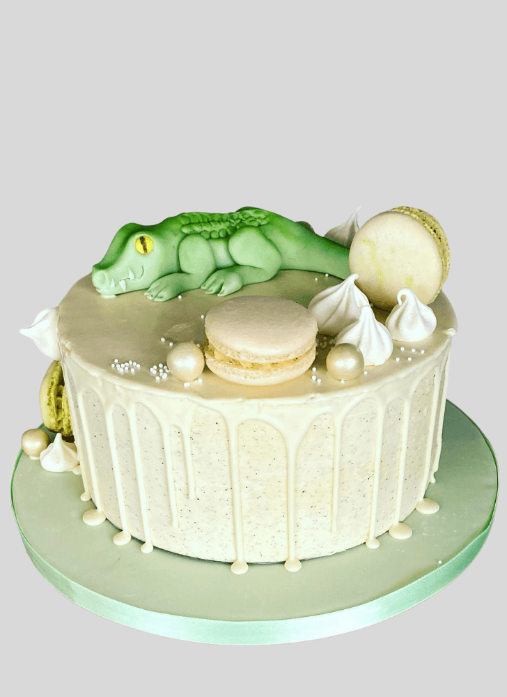 Radiant Alligator Cake