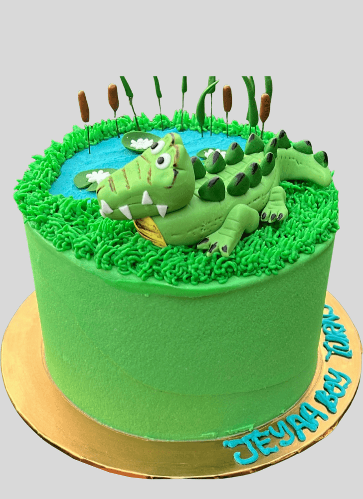 Splendid Alligator Cake