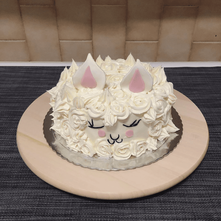 Superb Alpaca Cake