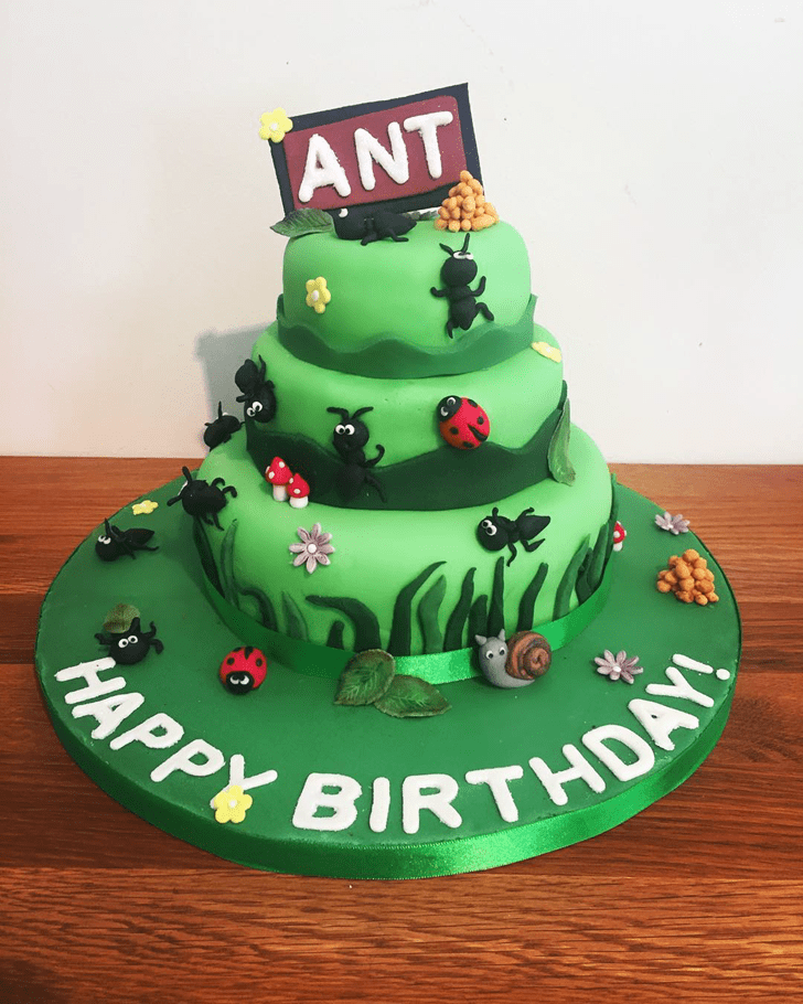 Beauteous Ant Cake