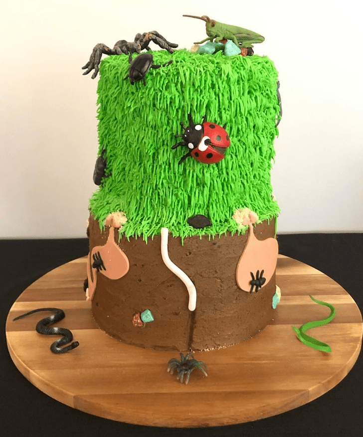 Captivating Ant Cake