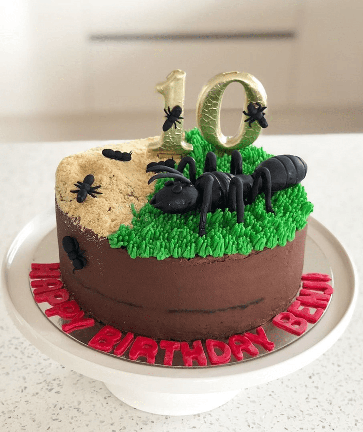 Delicate Ant Cake