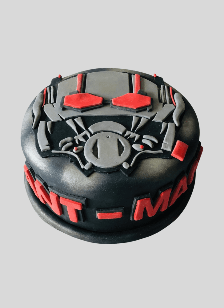 Admirable Ant-Man Cake Design