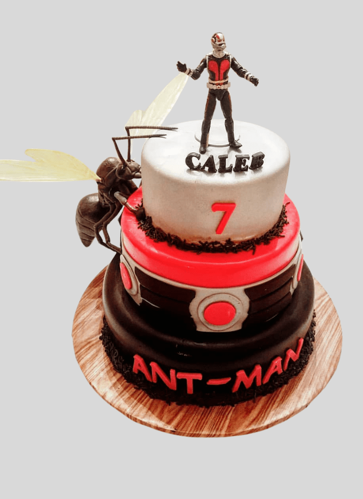 Divine Ant-Man Cake