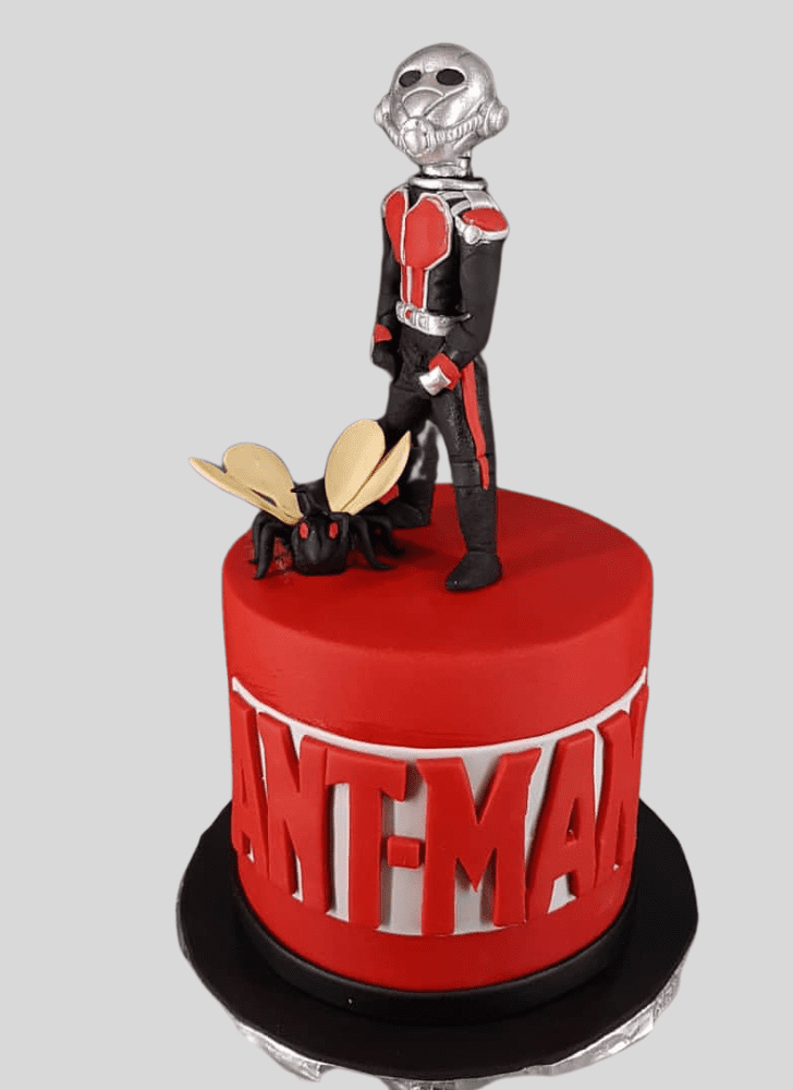 Elegant Ant-Man Cake