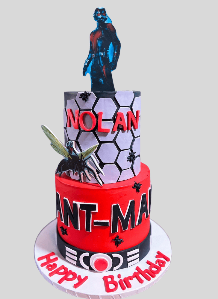Fine Ant-Man Cake