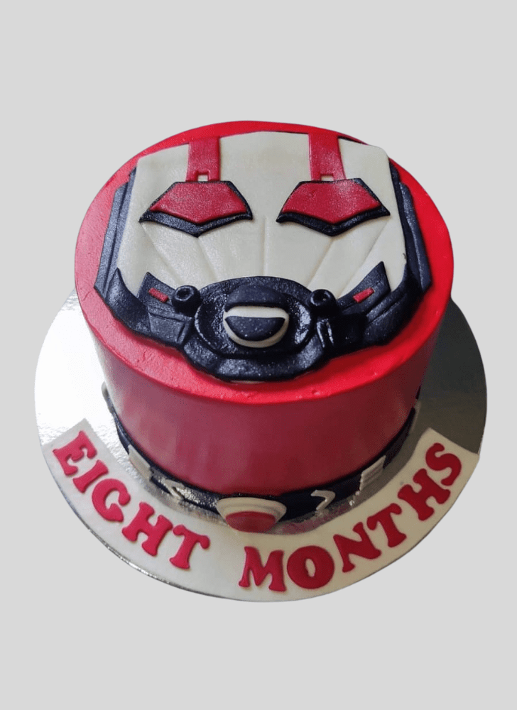 Graceful Ant-Man Cake