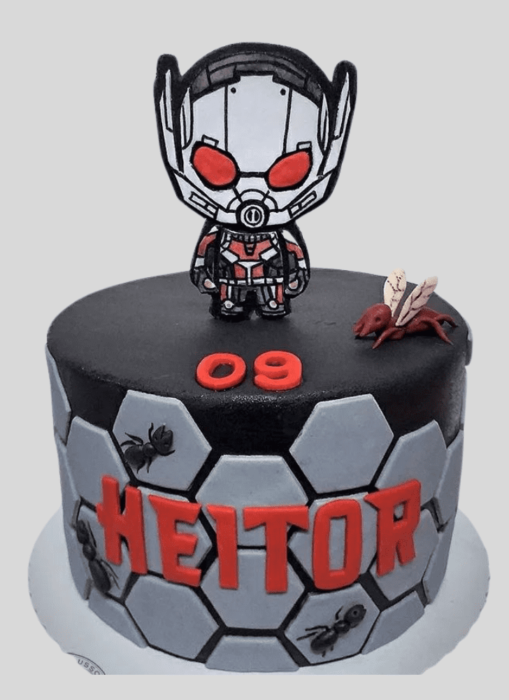 Lovely Ant-Man Cake Design